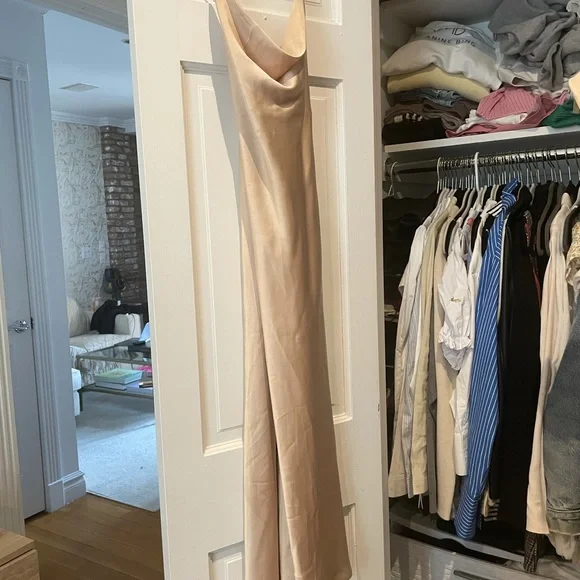 Show me your mumu verona cowl dress - Picture 3 of 4